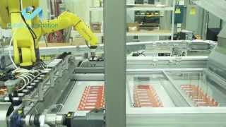 Automated Blister Sealing System with Three FANUC Robots for LoadUnload  Clear Automation [upl. by Diao348]