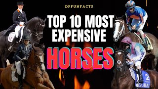 TOP 10 MOST EXPENSIVE HORSES BREED EVER SOLD  DPFunFacts [upl. by Jannel]