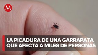 Lyme una enfermedad que afecta a miles de personas [upl. by Bekelja]