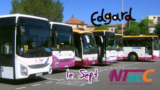 Bus amp Cars NTecC Edgard Le Sept et TER Languedoc à la Gare Routière dAlès le 18 avril 2017 [upl. by Nivlak]