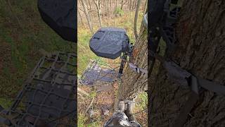 Hands free tree stand removal tip 🔥 deerhunting bowhunting shortshorts [upl. by Nomaj]