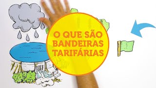 O que são bandeiras tarifárias [upl. by Hplar]