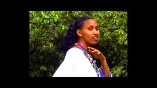 Ethiopian Amharic MusicGenet Masresha wollo [upl. by Kym]