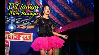 Dil Janiya Mor Raniya  dj video song  dance program [upl. by Kram404]