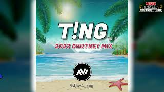 Dj Avi  TNG Vol 12 2023 Chutney Soca Mix [upl. by Yror]