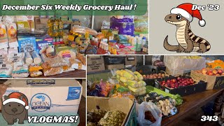 VLOGMAS 2023  December Monthly Grocery Haul  Costco Coles Aldi FampV etc  Off Grid Australia 343 [upl. by Geno713]