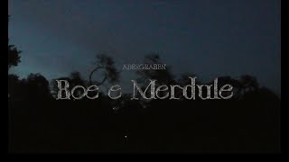 Adergraben  Boe e Merdule Official Music Video [upl. by Nereen]