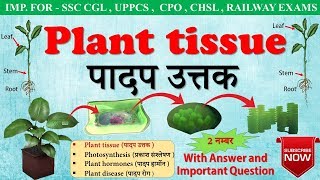 Plant tissue पादप ऊतक। plant cell। Type of plant tissue । For SSC CGL  class 9 in hindi [upl. by Sherwin]