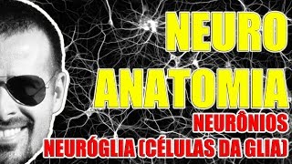 Neurônios e Células da Glia  Sistema Nervoso  Neuroanatomia  VideoAula 082 [upl. by Cornelius]