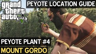 Peyote Location 4 • Mount Gordo • GTA 5 PC [upl. by Relly]