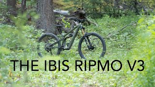 Ripmo than ever before The Ibis Ripmo V3  The Inside Line [upl. by Ihtac]