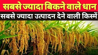 top paddy varieties  Arize 6444 gold dhan  6444 dhan price 2022  arize 6444 variety yield [upl. by Duile923]