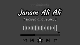 Janam Ali Ali as  Nadeem Sarwar noha  Slowed and Reverb [upl. by Anyl]