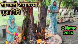 2 सितंबर 2024 somvati Amavasya Pooja  सोमवती अमावस्या की सरल पूजा विधि नियम जानें फेरी कैसे लगाएं [upl. by Ahter]