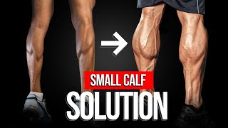 How To Get Bigger Calves The Best Training Program And Techniques [upl. by Hakvir]