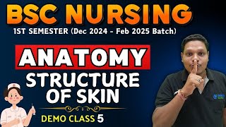 STRUCTURE OF SKIN  anatomy bsc nursing  bsc nursing 1st sem  anatomy BSC NURSING  BSC NURSING [upl. by Nnaaras256]