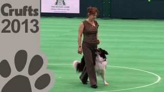 Obedience Dog Championships  Day 3  Crufts 2013 Suzy Tooley amp Woughstock Wynesome Hartze [upl. by Vidda]