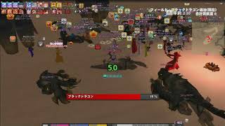 Mabinogi  Black Dragon raid [upl. by Nonnahsed]