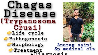 Chagas’ disease  Trypanosoma cruzi  Causes Life cycle  pathogenesis  treatment [upl. by Hatcher770]