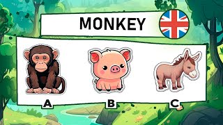 ¡Aprende INGLÉS y DIVIÉRTETE 50 Animales en 14 Minutos 🐾  Tutorial de Inglés para Todos [upl. by Marve68]