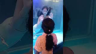 Marine expo perinthalmanna🧜🏻‍♀️🧜🏻‍♀️ music [upl. by Arah286]