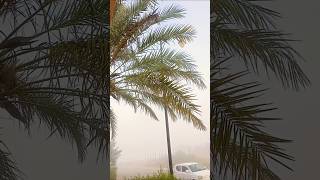 FOGG IN BAHRIA TOWN viralvideo weather beauty karachi bahriatown shorts youtubeshorts [upl. by Aivart]