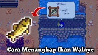 Cara Menangkap Ikan Walaye Sungai Di Stardew Valley [upl. by Rehctelf]