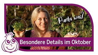 Neues Gemüse entdecken für die Vielfalt  Garten im Oktober [upl. by Oigimer]