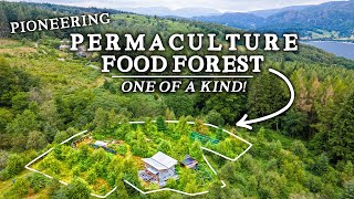 Incredible Permaculture Food Forest Project in Breathtaking Landscape [upl. by Kramnhoj]