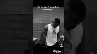 Harmonize soon collabo na burna boy ni hatari [upl. by Fairley]