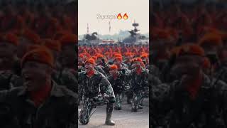 yel yel kopasgat menyala abangku [upl. by Salocin372]