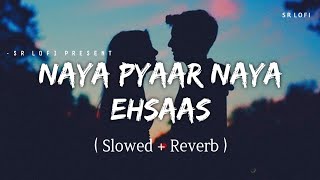 Naya Pyaar Naya Ehsaas  Lofi Slowed  Reverb  Jubin Nautiyal Palak Muchhal  SR Lofi [upl. by Reitrac]