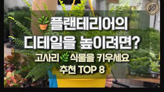 KO 🟣 식물인테리어의 디테일은 고사리로 꾸며주세요🌿고사리 식물 추천 TOP 8🪴 [upl. by Reider809]