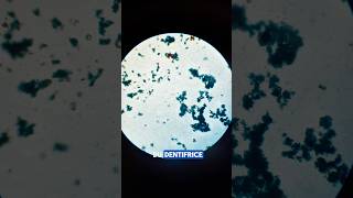 Dentifrice X400🤩 microscope science zoom dentifrice shorts [upl. by Gretel]