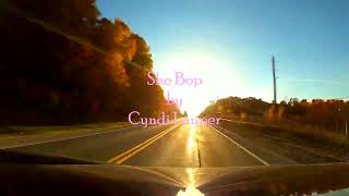 She Bop by Cyndi Lauper [upl. by Birkner]