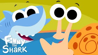 Shelly The Snail  Kids Counting Song  Finny The Shark [upl. by Biernat]