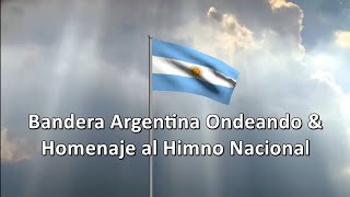 🇦🇷 Bandera Argentina amp Homenaje al Himno Nacional 🎶 [upl. by Dorey]