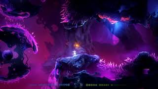 Ori and the will of the Wisps Willows End Game breaking Glitch [upl. by Hebel]