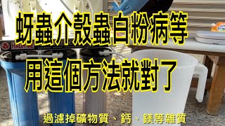 【休閒小菜園】農皂複方配製方法！防治蚜蟲、介殼蟲、粉蝨、螞蟻、紅蜘蛛、薊馬、斑濳蠅、葉蟬等小型昆蟲，抗菌對白粉病、露菌病、灰黴病、葉枯病、葉斑病、白絹病、銹病、白銹病、蔓枯病等均具有防治及療效！ [upl. by Retseh]