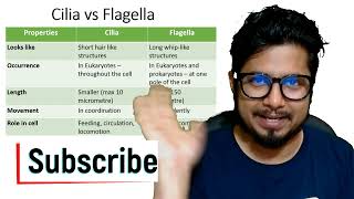 CILIA amp FLAGELLA Explained 💯 PW Biology Shorts [upl. by Ecinuahs]