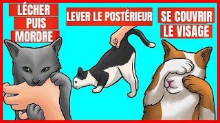 9 comportements étranges de votre chat et leurs significations  Incroyablement Top [upl. by Lenej]