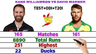 Kane Williamson vs David Warner Comparison [upl. by Neved390]