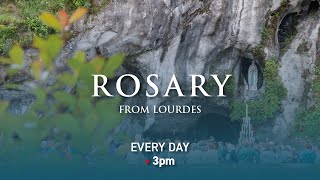 Rosary from Lourdes  11072024 [upl. by Kentigera]