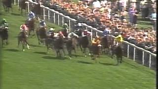 1987 Epsom Derby [upl. by Ahseekan457]