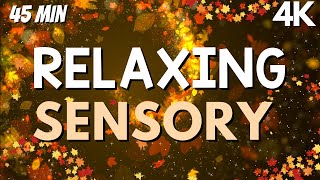 Autism Calming Music Fall Sensory Visuals to relax and unwind [upl. by Pas]