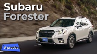 Subaru Forester 2022  Una SUV muy inteligente y versátil pero incomprendida en México  Autocosmos [upl. by Ty832]