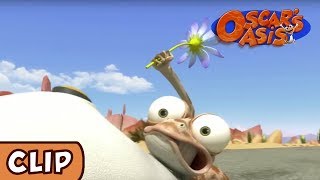 Oscars Oasis  All That For A Flower  HQ  Funny Cartoons [upl. by Steven]