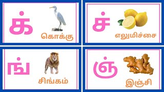 மெய் எழுத்துக்கள்  mei yeluthukkal  Letters kids with fun learning [upl. by Yesnek677]