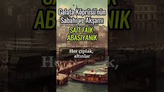 GALATA KÖPRÜSÜNÜN SABAHI VE AKŞAMI  Sait Faik Abasıyanık  Sesli Kitap  Seslendiren Barış Okkay [upl. by Hachmin]