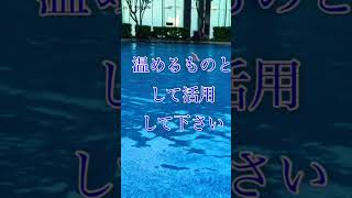 令和6年能登半島地震 一日でも早い元通りの生活祈り泳ぐ Bzイチブトゼンブ [upl. by Orten61]